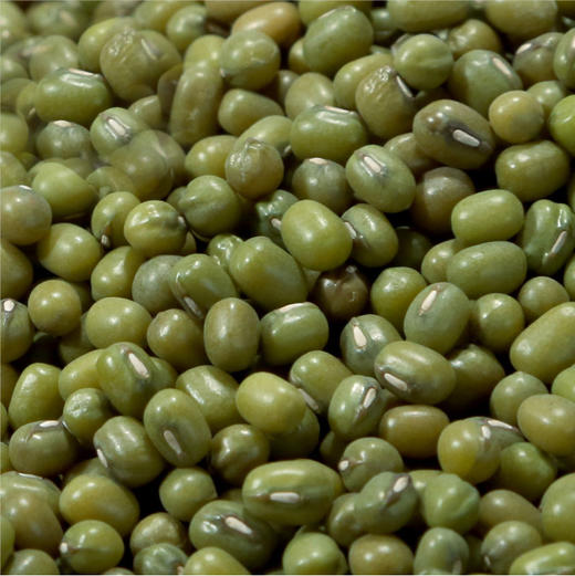 素食猫 绿色杂粮绿豆#400g/袋*5 商品图2