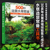 500种造景水草图鉴 水草造景设计书籍 专业水草图鉴书籍 水草缸造景 日本水草专家水草养殖经验书籍 各类水草在草缸中的应用技巧 商品缩略图4