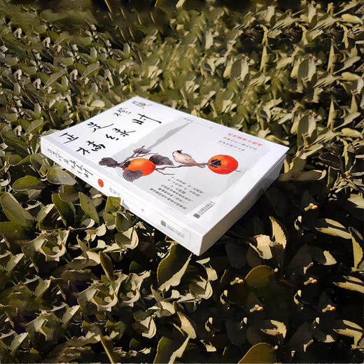 正是橙黄橘绿时（“中国好书奖”获得者肖复兴暖心新作，温暖你的三餐和四季！） 商品图2