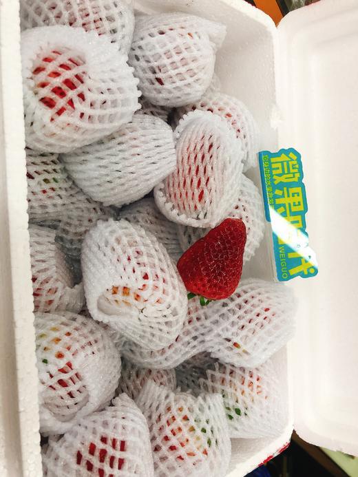 马家岗草莓一盒（补单） 商品图0