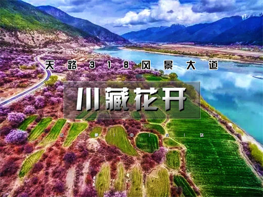 3.28-4.6【川藏花开10天9晚】北京直发川西梨花-林芝桃花-波密桃花｜经典川藏318线 商品图0