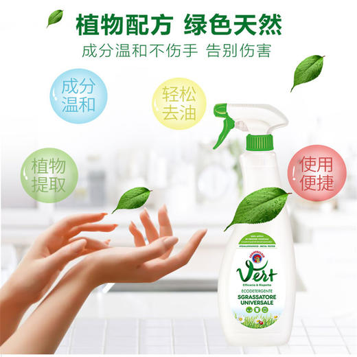 意大利大公鸡管家多功能清洁剂（植物味）625ml  JJ2112200007-W 商品图1