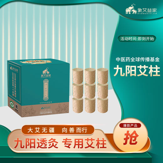 象艾益家 九阳透灸专用艾柱 3.5cm*5cm*9支/套*1套 商品图0