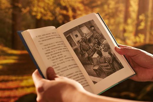 《绿山墙的安妮全集》（精美插图版），全8册+清秀佳人笔记本，软精装，加拿大 露西·莫德·蒙哥马利著，马爱农等译，北京燕山出版社2021年版，定价520，售价199元。 商品图12