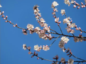 春生时节，这几个养生小技巧必须get！