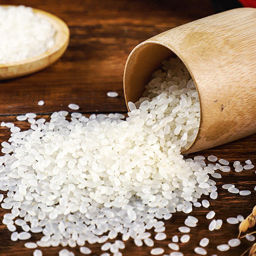 亚哥同江大米珍珠米5kg袋装煮粥煮饭家用米 商品图2