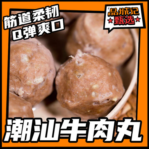 品城记甄选 【牛丸爷.潮汕牛肉丸组合】 牛肉丸牛筋丸 500g*2（配沙茶酱2包） 商品图0