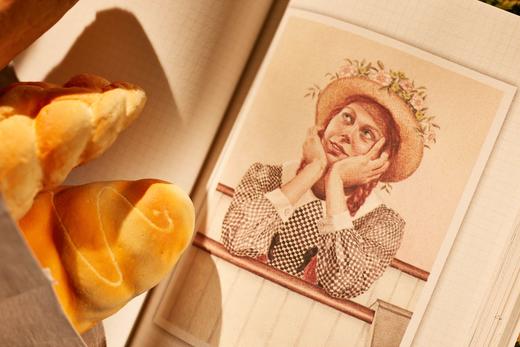 《绿山墙的安妮全集》（精美插图版），全8册+清秀佳人笔记本，软精装，加拿大 露西·莫德·蒙哥马利著，马爱农等译，北京燕山出版社2021年版，定价520，售价199元。 商品图8