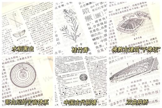 《辞海》（第七版）普及本，16开精装，陈至立主编，上海辞书出版社2022年1月版，3488页，定价600，售价390元。 商品图13