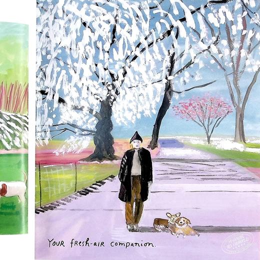 预售 【中商原版】美国插画师心爱的狗Maira Kalman Beloved Dog英文原版Maira Kalman 商品图4