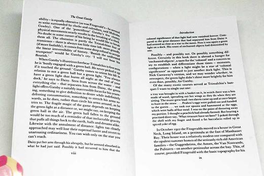 了不起的盖茨比 英文原版小说 The Great Gatsby 英文版 菲茨杰拉德 F Scott Fitzgerald 进口英语书籍 商品图1