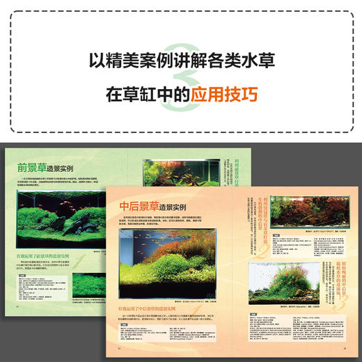 500种造景水草图鉴 水草造景设计书籍 专业水草图鉴书籍 水草缸造景 日本水草专家水草养殖经验书籍 各类水草在草缸中的应用技巧 商品图3