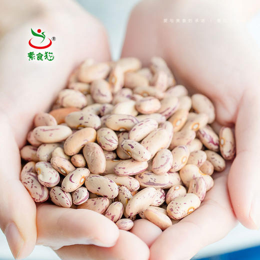 素食猫 绿色杂粮奶花芸豆#400g/袋*5 商品图3