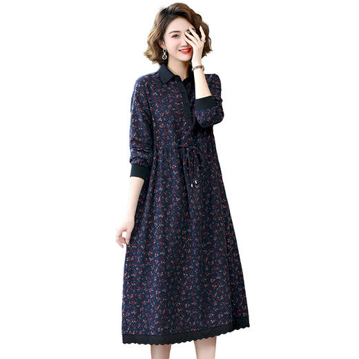 WZNH- WL10099套头红色气质通勤中长裙电子中腰印花连衣裙 商品图4