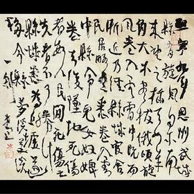 曾翔书法·草书系列之《夢溪筆談·二十一卷》