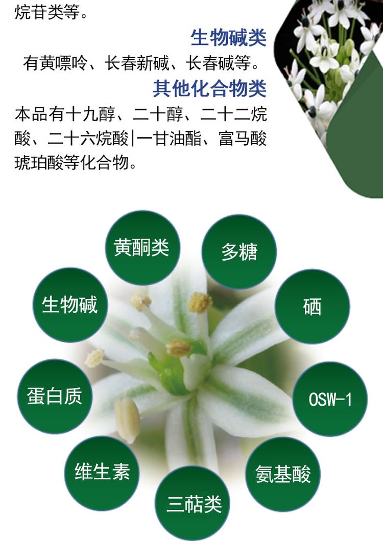 虎眼万年青多糖冻干粉