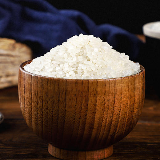 亚哥同江大米珍珠米5kg袋装煮粥煮饭家用米 商品图1