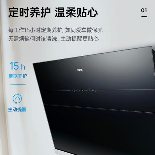 海尔（Haier）烟机CXW-219-EC905T 商品图2