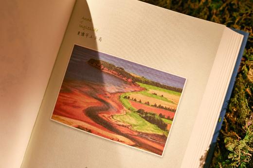 《绿山墙的安妮全集》（精美插图版），全8册+清秀佳人笔记本，软精装，加拿大 露西·莫德·蒙哥马利著，马爱农等译，北京燕山出版社2021年版，定价520，售价199元。 商品图9