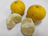 象山青 黄金贡柚品种 汁水丰盈 清甜爽口 不上火 净重5斤 商品缩略图7