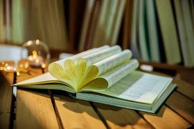 第7节：如何写出生动的“人物”？