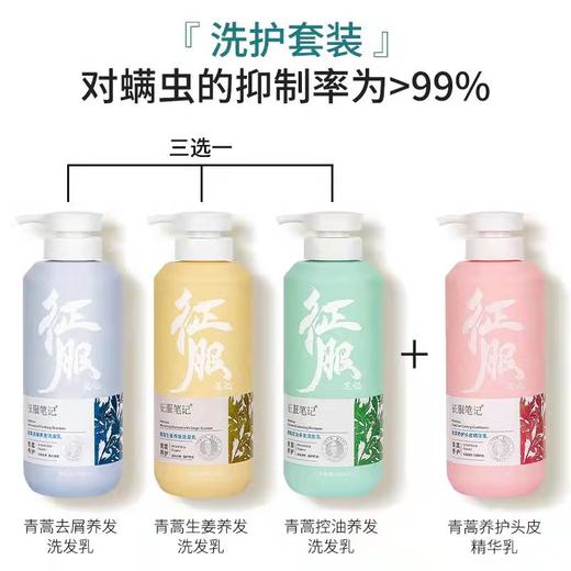 征服 CONQUER生姜养发止痒洗发乳 商品图6