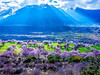 3.28-4.6【川藏花开10天9晚】北京直发川西梨花-林芝桃花-波密桃花｜经典川藏318线 商品缩略图8