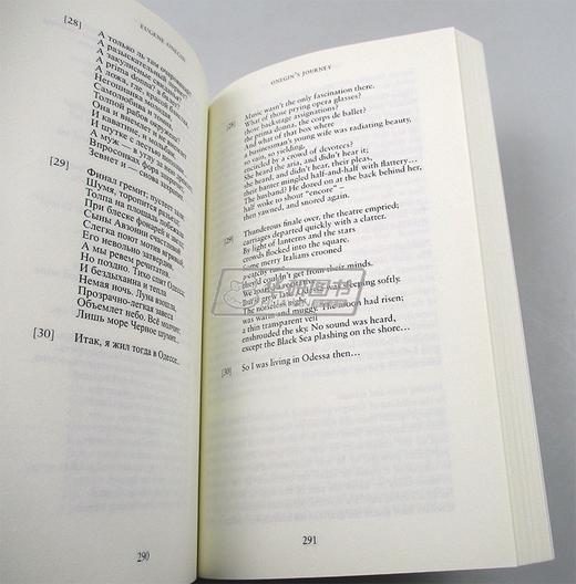 普希金 叶甫盖尼奥涅金 英文原版 文学书 Eugene Onegin Alma Classics Evergreens 英文版世界文学名著 进口英语书籍 商品图3