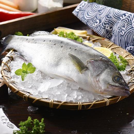 山泉水鲈鱼 约400-500g/条 商品图3