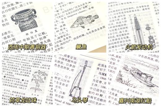 《辞海》（第七版）普及本，16开精装，陈至立主编，上海辞书出版社2022年1月版，3488页，定价600，售价390元。 商品图5