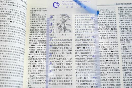 《辞海》（第七版）普及本，16开精装，陈至立主编，上海辞书出版社2022年1月版，3488页，定价600，售价390元。 商品图3