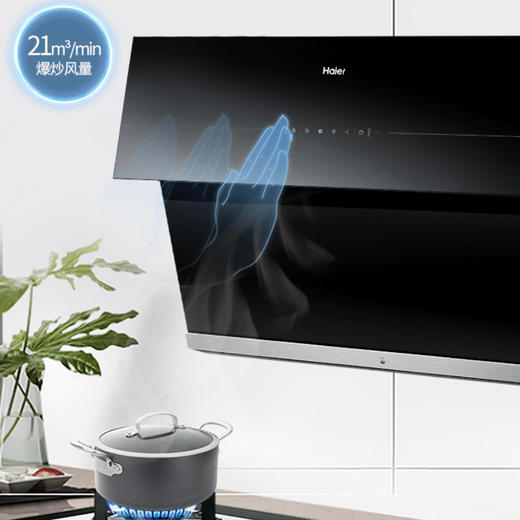 海尔（Haier）烟机CXW-219-EC905T 商品图1