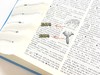 《辞海》（第七版）普及本，16开精装，陈至立主编，上海辞书出版社2022年1月版，3488页，定价600，售价390元。 商品缩略图9