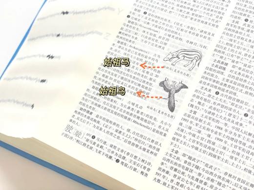 《辞海》（第七版）普及本，16开精装，陈至立主编，上海辞书出版社2022年1月版，3488页，定价600，售价390元。 商品图9