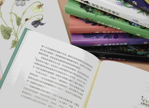 《绿山墙的安妮全集》（精美插图版），全8册+清秀佳人笔记本，软精装，加拿大 露西·莫德·蒙哥马利著，马爱农等译，北京燕山出版社2021年版，定价520，售价199元。 商品图3