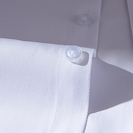 【专柜定制刺绣款】罗蒙春夏女装长袖衬衫女士正装商务通勤百搭纯色棉质衬衣 商品图7