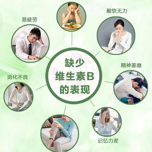 善贞善尔酵母复合粉固体饮料 维生素B族酵母法国乐斯福原料可即食 200g/罐 商品图3