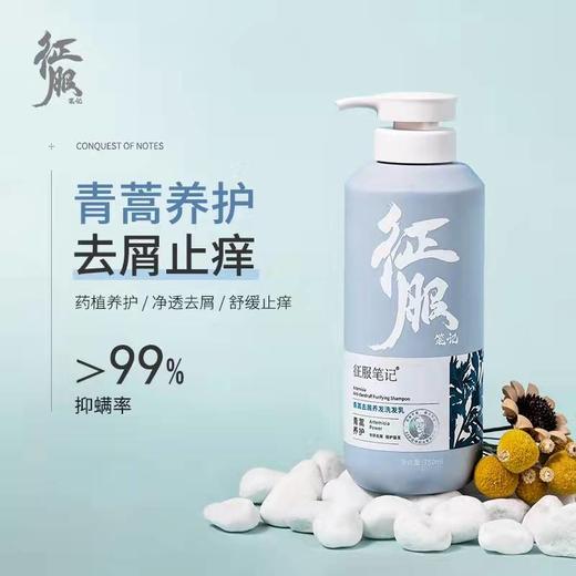 征服 CONQUER生姜养发止痒洗发乳 商品图2