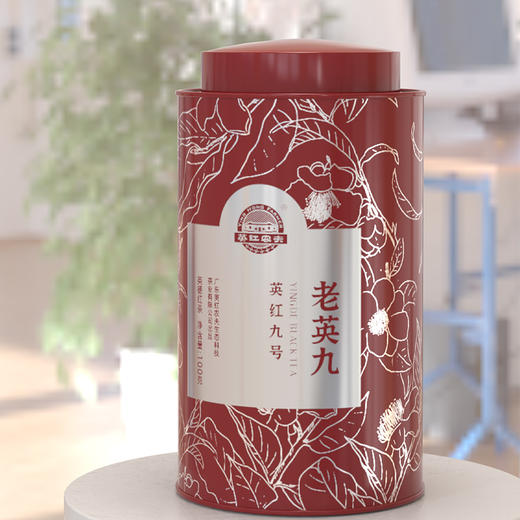 【经典口粮茶 新老包装随机发货】英红农夫 英红九号 红茶 100g/罐（京东同款） 商品图1