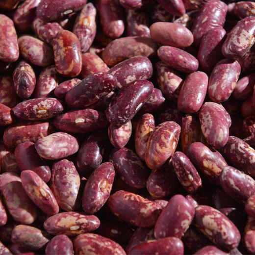 霁朗 芸豆#450g/袋*5 商品图3