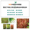 500种造景水草图鉴 水草造景设计书籍 专业水草图鉴书籍 水草缸造景 日本水草专家水草养殖经验书籍 各类水草在草缸中的应用技巧 商品缩略图2