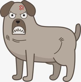 如何纠正狗狗的坏习惯！