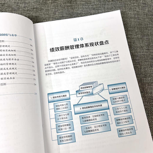 智慧职场 绩效考核与薪酬激励精细化设计 绩效考核作业指南 绩效考核实操手册 薪酬激励设计图表范例工具书 绩效薪酬应用设计手册 商品图1