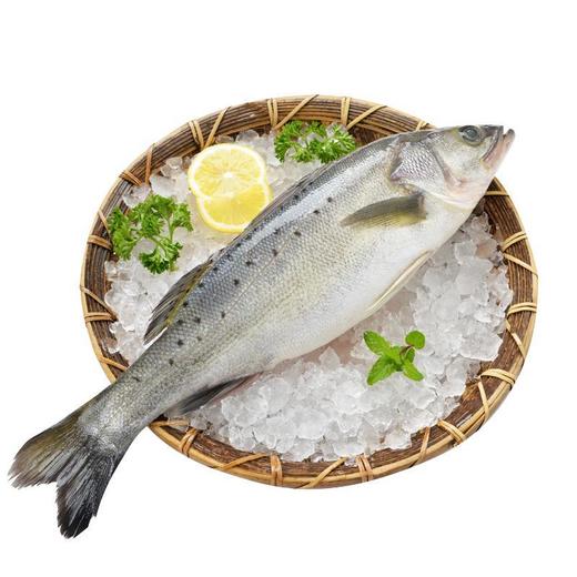 山泉水鲈鱼 约400-500g/条 商品图2