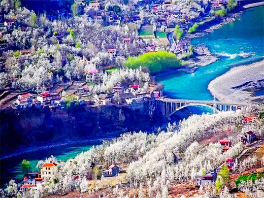 3.28-4.6【川藏花开10天9晚】北京直发川西梨花-林芝桃花-波密桃花｜经典川藏318线 商品图7