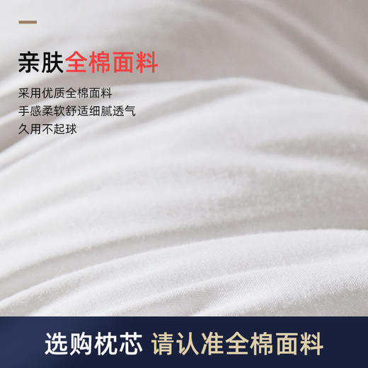 【第二只半价】全棉双边决明子枕头双边磁疗护颈椎助睡眠磁石决明子枕头枕芯成人养生护颈保健枕 商品图1
