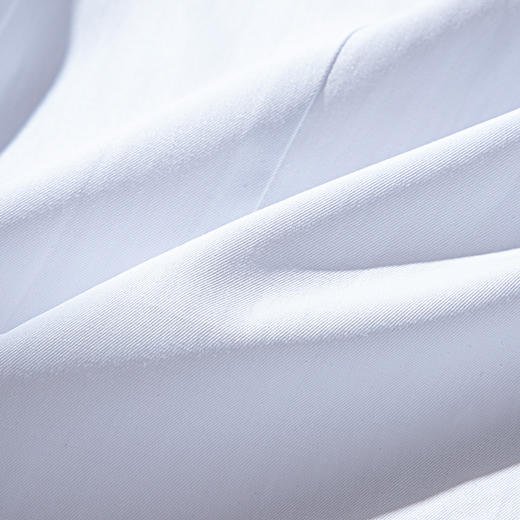 【专柜定制刺绣款】罗蒙春夏女装长袖衬衫女士正装商务通勤百搭纯色棉质衬衣 商品图7