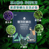 天然植物草本除螨包家用祛螨包去螨虫神器床上用枕头除螨 商品缩略图4