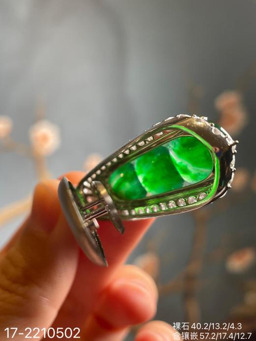 老坑帝王绿福豆吊坠 【17-2210502】具体价格微信咨询 商品图7