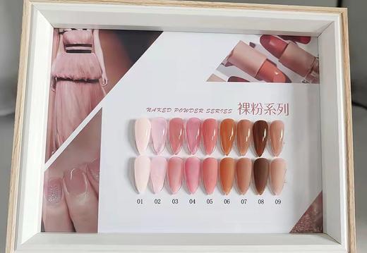 索芙娜（魅思） 裸粉系列9色套装（配送刷好色板） 商品图4